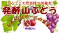 発酵山ぶどう・ザクロ　10g×25包　ゼリー/5000P　　　　　