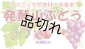 発酵山ぶどう・ザクロゼリー10g×12包/送料込　　　　　