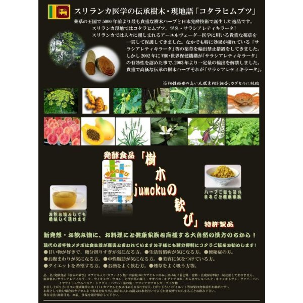 画像3: 樹木の歓び　60カプセル/3000P/送料込 (3)