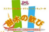 画像: 樹木の歓び　60カプセル/1000P/リピート商品同梱送料無料