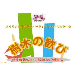 画像: 樹木の歓び　60カプセル/1000P/リピート商品同梱送料無料