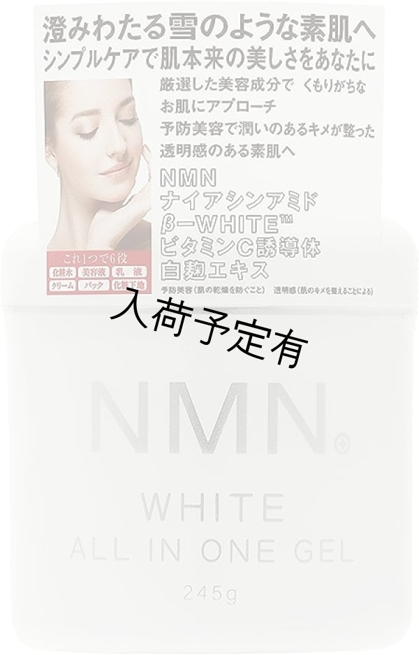 画像1: NMN オールインワンゲル/245g    (1)